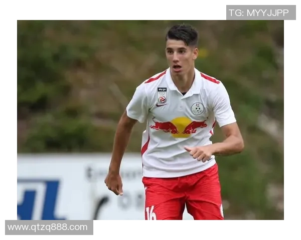 索博斯洛伊的魅力探秘与历史渊源深度解析之旅