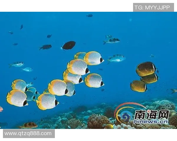 亚马尔地区的地缘政治变迁与资源开发前景分析