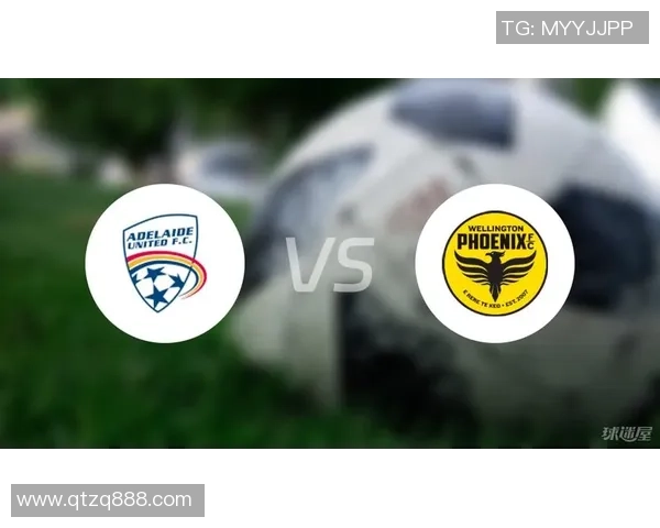 新城堡联与惠灵顿凤凰的精彩对决揭示足球魅力与团队精神的完美结合