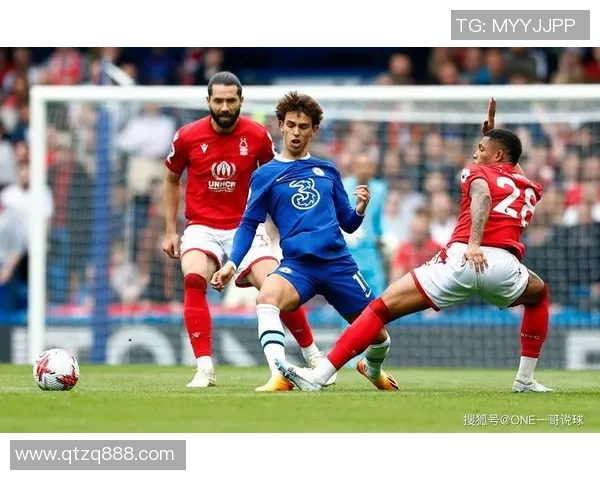 伯明翰与狼队对决分析谁将赢得这场英超焦点之战 伯明翰与狼队对决分析谁将赢得这场英超焦点之战